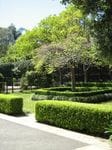 Wahroonga Projects Image -54dc06c17440a